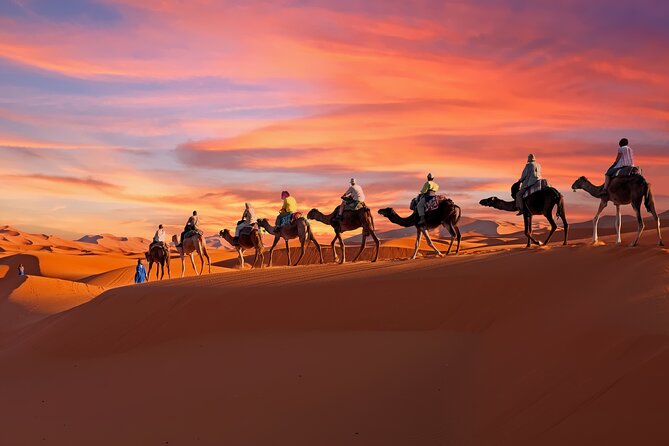 Embark on an unforgettable journey to the Sahara with our guided tours that take you through the dramatic landscapes of the desert. From camel rides to stargazing, our tours offer an immersive experience of the magical Sahara.