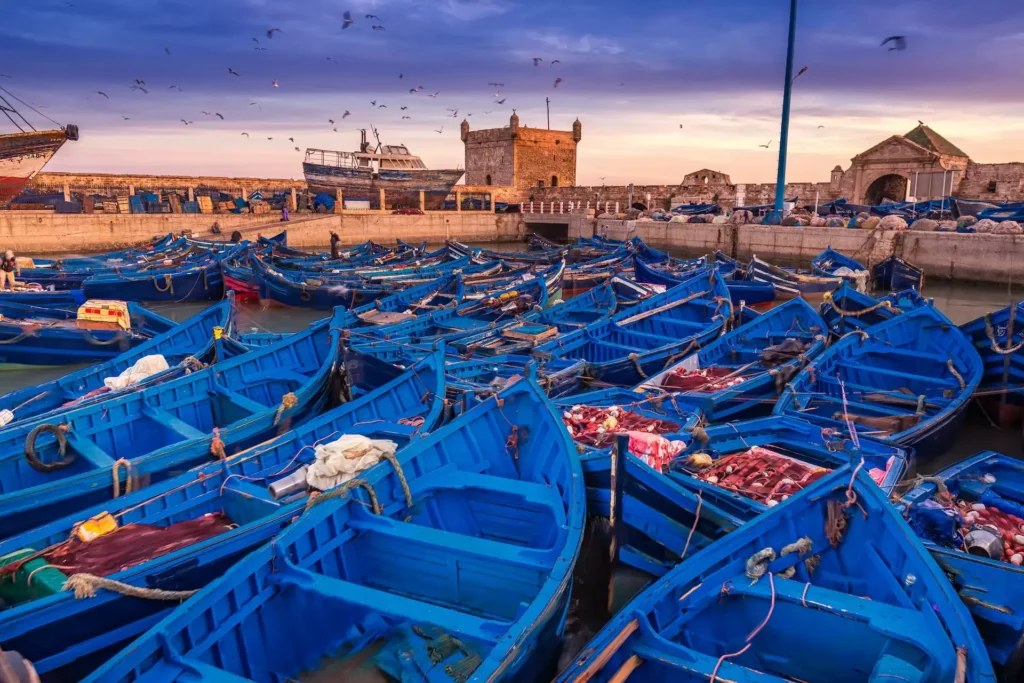 Day Trip to Essaouira