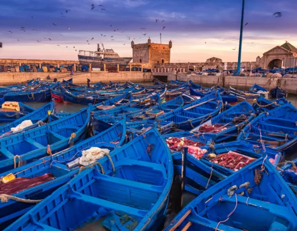 Day Trip to Essaouira