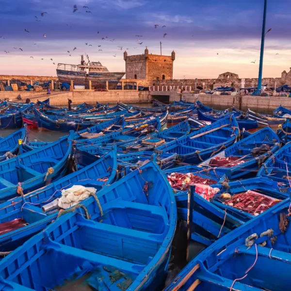 Day Trip to Essaouira